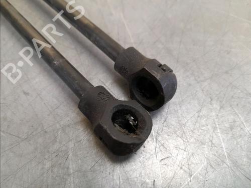 Tailgate lift support RENAULT CLIO IV (BH_) 1.5 dCi 75 | BP14945983C138