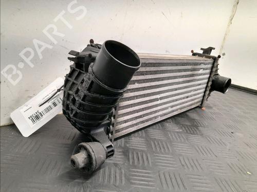 Intercooler RENAULT KANGOO Express (FW0/1_) 1.5 dCi 75 (FW07, FW10, FW04) | BP23086105M30 - Image 2