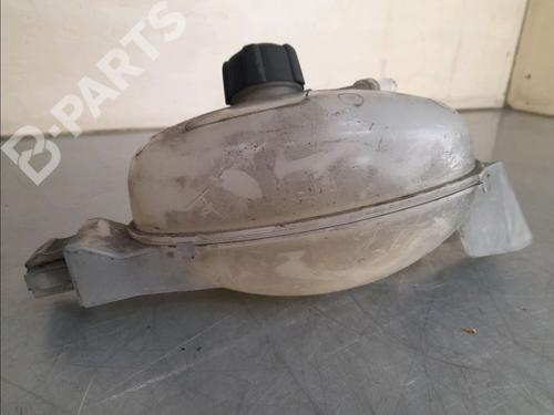 Expansion tank RENAULT MASTER III Platform/Chassis (EV, HV, UV) 2.3 dCi 135 FWD (EV0N, HV0N, UV0N, EV08, HV08, UV08) | BP11952339C120 