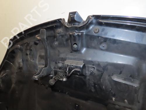 Hood RENAULT MEGANE III Coupe (DZ0/1_) 1.6 16V (DZ0U, DZ1B, DZ1H) | BP29985807C1