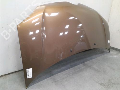 Hood RENAULT TWINGO III (BCM_, BCA_) 1.0 SCe 70 (BCMB) | BP22366892C1