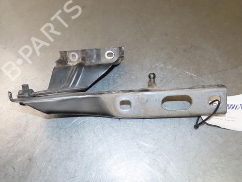 Hinge/Door check strap AUDI Q5 (8RB) SQ5 TDI quattro | BP29380717C146 
