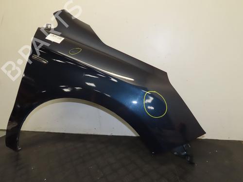 Right front fenders CITROËN C4 II (NC_) 1.6 HDi 110 | BP26898259C42 