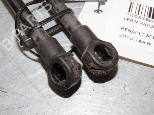 Gassdemper Bakluke RENAULT SCÉNIC IV (J9_) 1.2 TCe 130 | BP29263660C138 