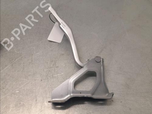 Hinge/Door check strap RENAULT CLIO V (B7_) 1.5 Blue dCi 85 (B7AG) | BP32223050C146