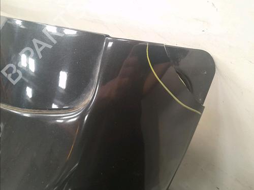 Used Tailgate Tailgate RENAULT MEGANE III Coupe (DZ0/1_) 2.0 TCe (DZ1N) (250 hp) 36486953 36486953