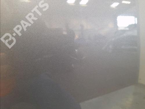Left rear door RENAULT SCÉNIC III (JZ0/1_) 1.5 dCi (JZ02, JZ0R) | BP11832613C4 