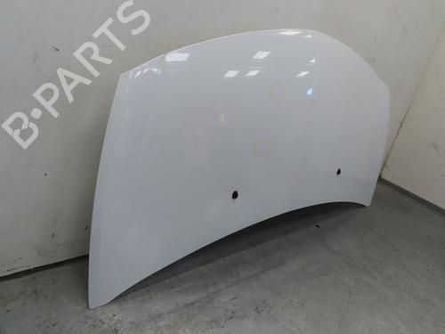 Hood RENAULT CLIO III (BR0/1, CR0/1) 1.5 dCi (C/BR0G, C/BR1G) | BP17662649C1 