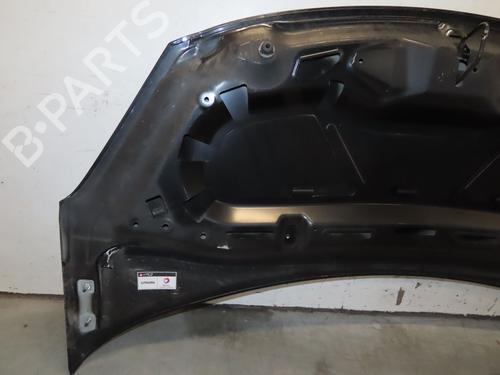 Hood CITROËN C3 II (SC_) 1.6 VTi 120 | BP29739414C1 