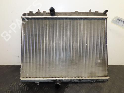 Heater matrix CITROËN BERLINGO MULTISPACE (B9) 1.6 HDi 90 | BP31865114M63 