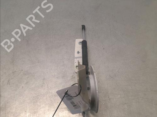 Hinge/Door check strap RENAULT ZOE (BFM_) ZOE | BP30047596C146