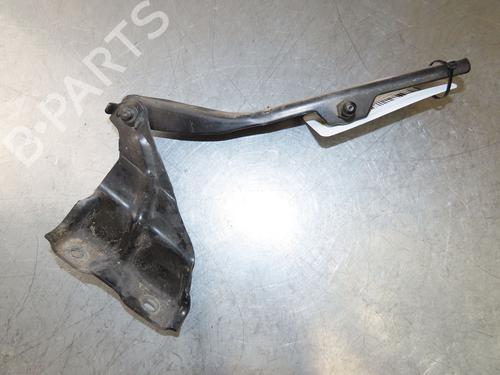 Hinge/Door check strap AUDI Q5 (8RB) SQ5 TDI quattro | BP29380710C146 