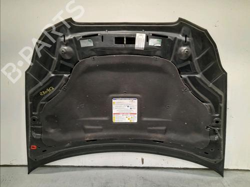 Hood LANCIA DELTA III (844_) 1.6 D Multijet (844.AXC11, 844.AXC1A) | BP15770761C1 