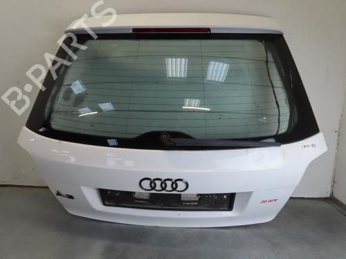 Bakluke CC/Kombi-Kupé AUDI A3 (8P1) 1.6 TDI (105 hp) 17100383