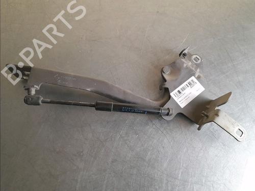Used Hinge/Door check strap RENAULT SCÉNIC III (JZ0/1_) 1.5 dCi (JZ02, JZ0R) (95 hp) 14857344