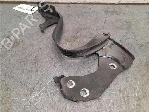 Hinge/Door check strap FIAT 500 (312_) 1.2 (312AXA1A) | BP16130368C146