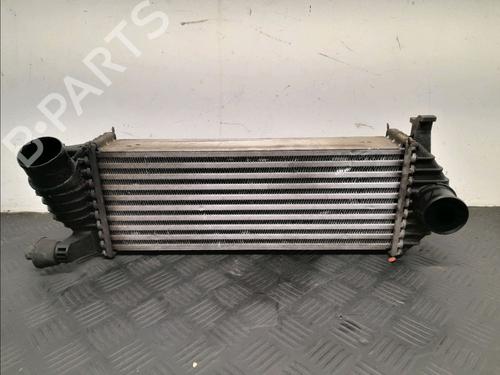 Used Other RENAULT KANGOO / GRAND KANGOO II (KW0/1_) 1.5 dCi 110 (KW0C, KW0H) (110 hp) 23086105