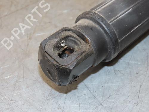 Tailgate lift support BMW X6 (E71, E72) xDrive 30 d | BP29294028C138 