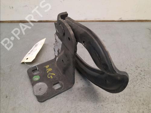 Hinge/Door check strap PEUGEOT 3008 I MPV (0U_) 1.6 HDi | BP14857737C146 