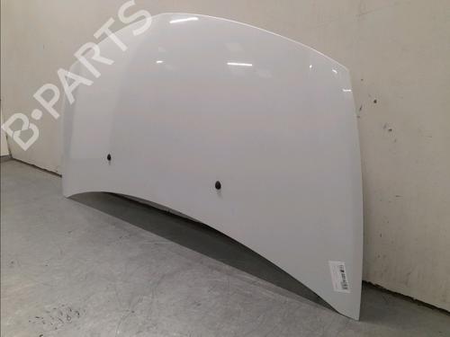 Hood RENAULT CLIO III (BR0/1, CR0/1) 1.5 dCi (C/BR0G, C/BR1G) | BP15813169C1 