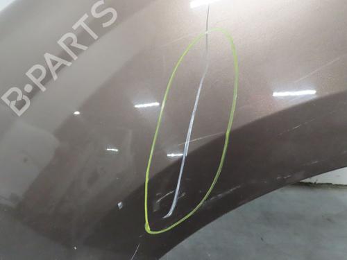 Left front fenders RENAULT KANGOO / GRAND KANGOO II (KW0/1_) 1.5 dCi 110 (KW0C, KW0H) | BP22366852C41 