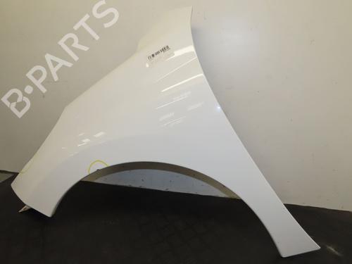 Left front fenders PEUGEOT 207 CC (WD_) 1.6 HDi | BP29759561C41 