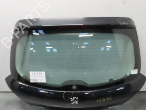 Used Tailgate PEUGEOT 207 (WA_, WC_) 1.4 (73 hp) 22367580