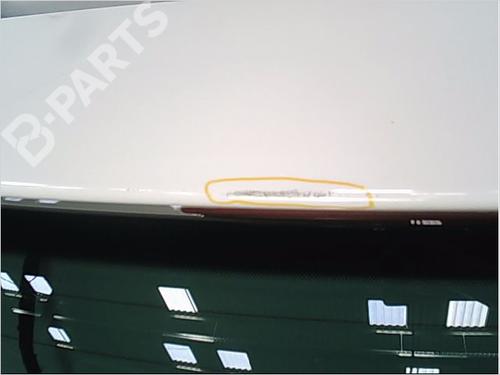 Tailgate SEAT IBIZA IV (6J5, 6P1) 1.2 TSI | BP9638695C6 