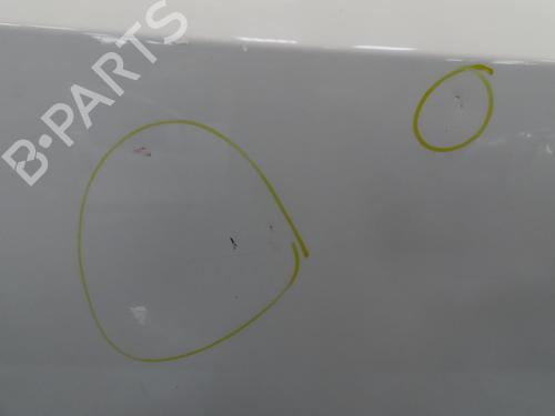 Right front door PEUGEOT BIPPER (AA_) 1.3 HDi 75 | BP31935918C3