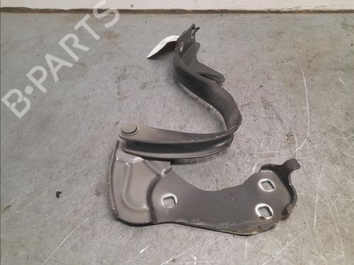 Hinge/Door check strap FIAT 500 (312_) 1.2 (312AXA1A) | BP16105844C146 