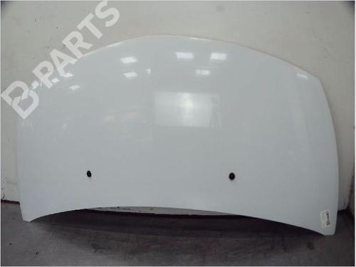 Used Hood RENAULT CLIO III (BR0/1, CR0/1) 1.5 dCi (C/BR0G, C/BR1G) (68 hp) 10562665