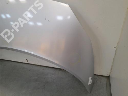 Hood RENAULT SCÉNIC II (JM0/1_) 1.5 dCi (JM1E, JM16) | BP11131239C1 