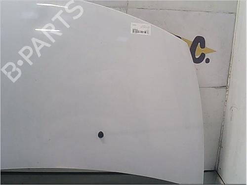 Used Hood RENAULT CLIO III (BR0/1, CR0/1) 1.5 dCi (C/BR0G, C/BR1G) (68 hp) 9406555
