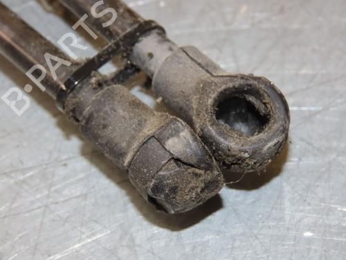 Gassdemper Bakluke RENAULT SCÉNIC IV (J9_) 1.7 Blue dCi 120 (J9A7, J9A8) | BP29294041C138 