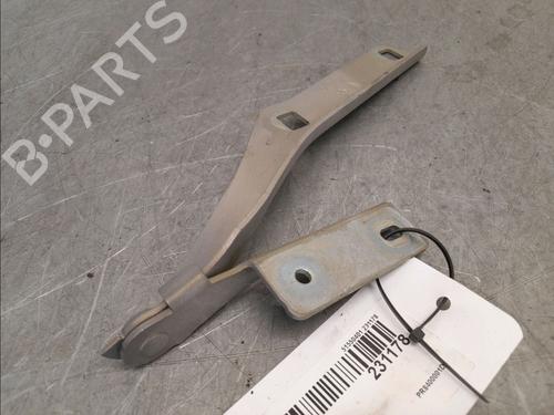 Hinge/Door check strap CITROËN BERLINGO MULTISPACE (B9) 1.6 HDi 90 | BP15273339C146 