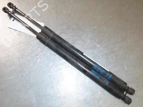 Tailgate lift support CHEVROLET ORLANDO (J309) 2.0 D | BP29263652C138 