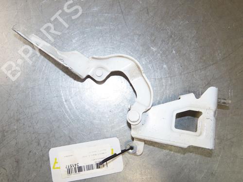 Hinge/Door check strap RENAULT TRAFIC III Van (FG_) 1.6 dCi 115 (FGMD) | BP29380718C146 
