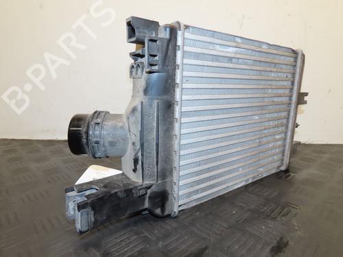 Andre DACIA DUSTER (HM_) 1.0 LPG (HMMT) | BP31272541O1