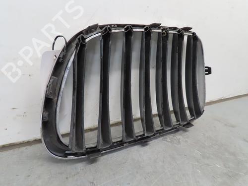 Grille BMW X1 (E84) sDrive 20 d | BP18887212C40