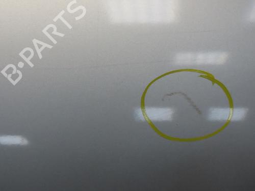 Left rear door RENAULT SCÉNIC III (JZ0/1_) 1.5 dCi | BP19790901C4 