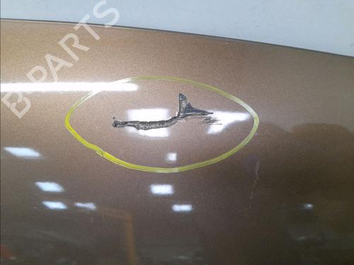 Hood RENAULT TWINGO III (BCM_, BCA_) 1.0 SCe 70 (BCMB) | BP22366892C1