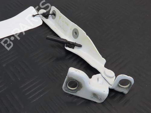 Used Hinge/Door check strap CITROËN C3 II (SC_) 1.6 HDi (92 hp) 19133016