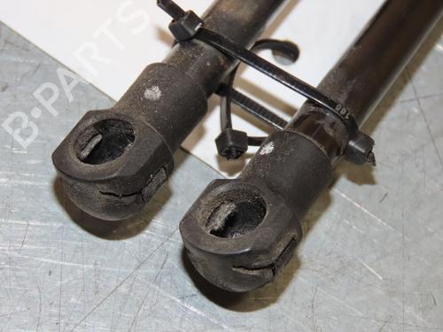 Tailgate lift support CHEVROLET ORLANDO (J309) 2.0 D | BP29263652C138 