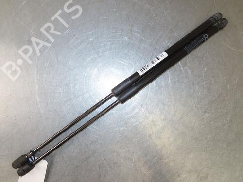 Tailgate lift support SUZUKI SWIFT V (AZ) 1.2 Hybrid (Mild Hybrid) (A2L412) | BP29294050C138