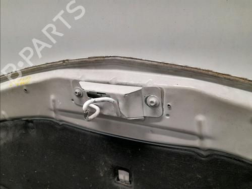Hood RENAULT CLIO III (BR0/1, CR0/1) 1.5 dCi (C/BR0G, C/BR1G) | BP15813169C1 