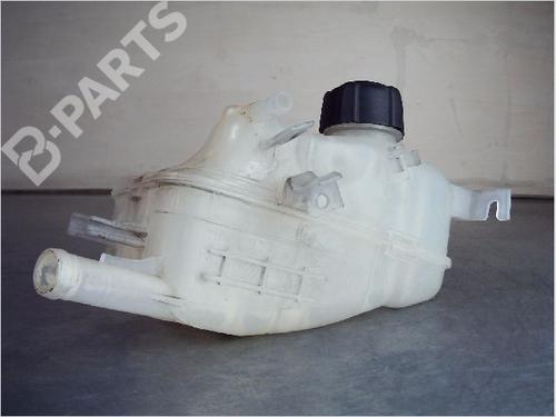 Used Expansion tank RENAULT MEGANE III Hatchback (BZ0/1_, B3_) 1.5 dCi (106 hp) 9828258