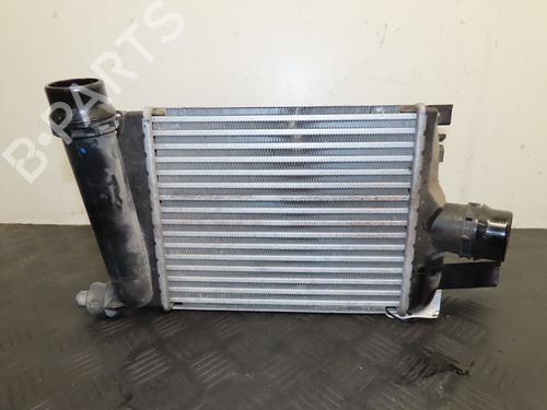 Andre DACIA DUSTER (HM_) 1.0 LPG (HMMT) | BP31272541O1