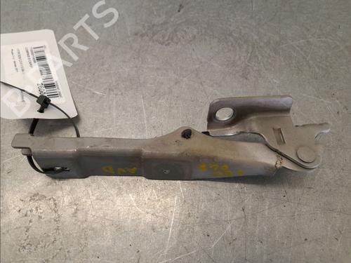 hingedoor-check-strap-citroen-c3-ii-sc_-2009-33059216 main image