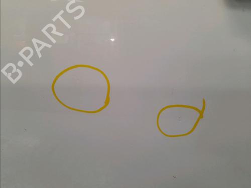 Left front door DACIA SANDERO 1.4 MPI LPG | BP15952935C2