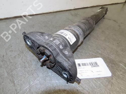 Left rear shock absorber OPEL CORSA F (P2JO) 1.2 (68) | BP19068864M18